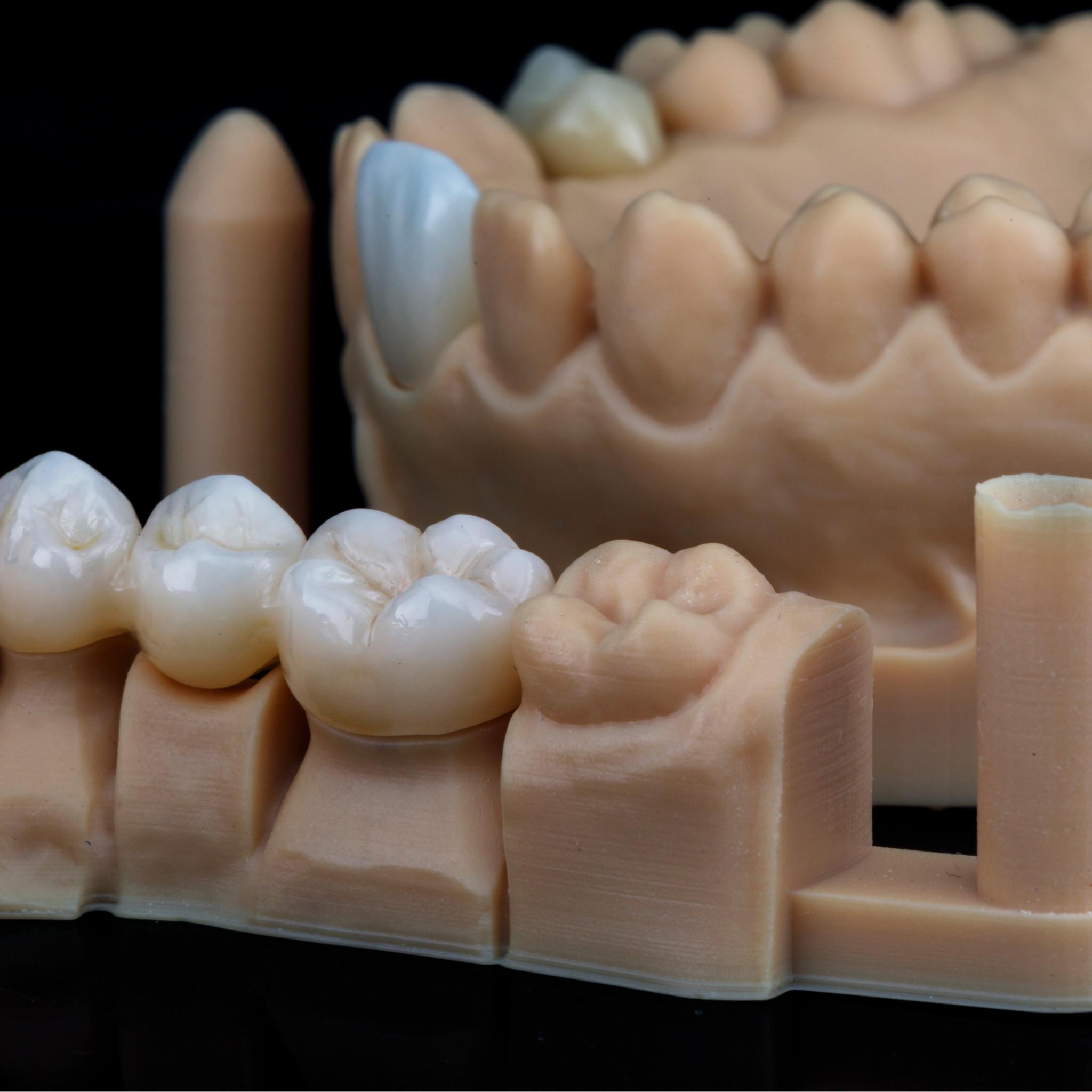 Teeth model