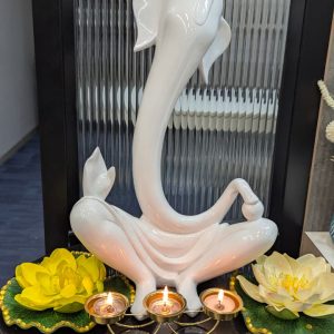 WhatsApp Image 2025-10-20 at 11.27.11 AM (1)